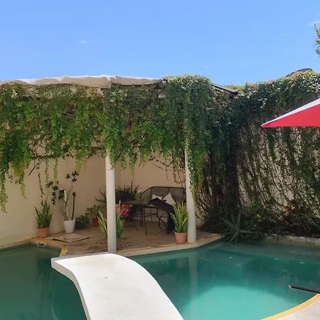 Bed And Breakfast Pecari-2