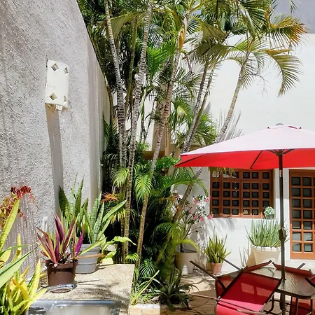 Bed And Breakfast Pecari-2